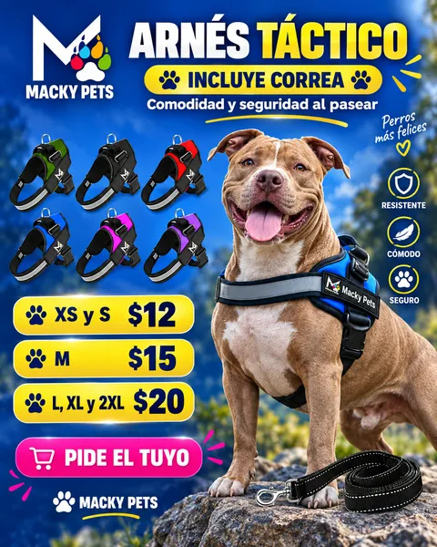 Arnés Reflectivo con correa incluida, desde $12