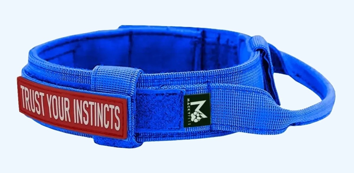 Combo Collar Táctico